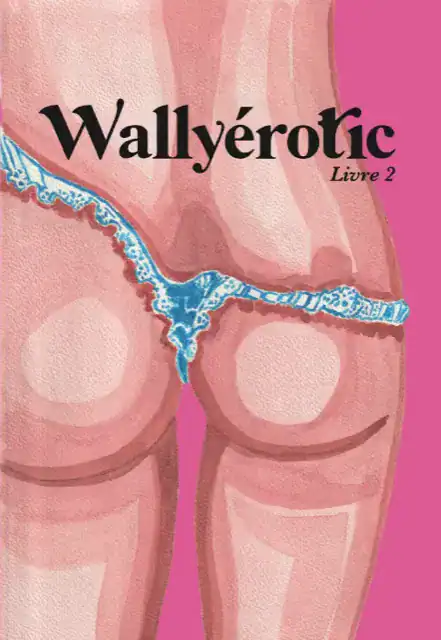 Wally Erotic couverture livre 2 Image de dos d'une femme en lingerie bleue, vue artistique et suggestive.